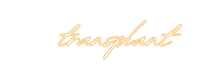 Divine Hair Clinic